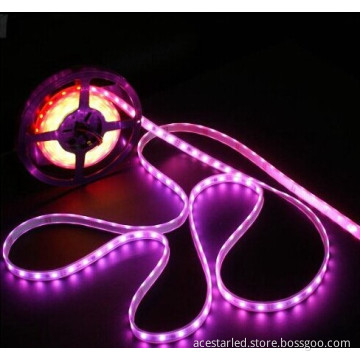 SMD 5050 LED Flexible Strip Light, 60LEDs/M, IP65/IP33